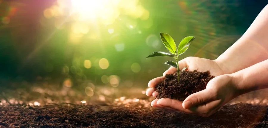 1. 1. STYLEUP_GUIDE_HEALTH_AND_BEAUTY_TIPS_ALL_ABOUT_MAGNESIUM__Depleted_Soils_And _Agricultural_Practices_Contribute_To_Magnesium_Deficiency (1).webp